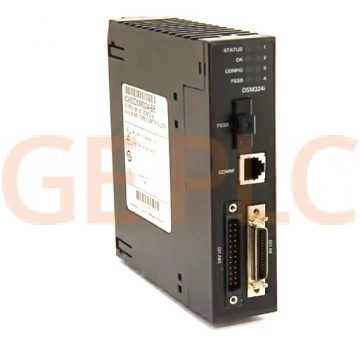 Image for IC693DSM324